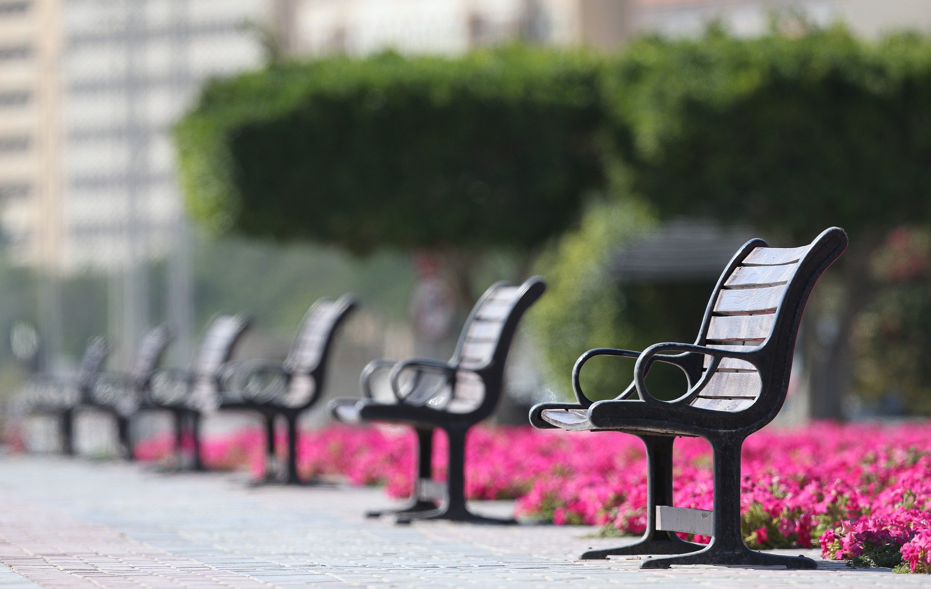 bench-5017748_1920.jpg